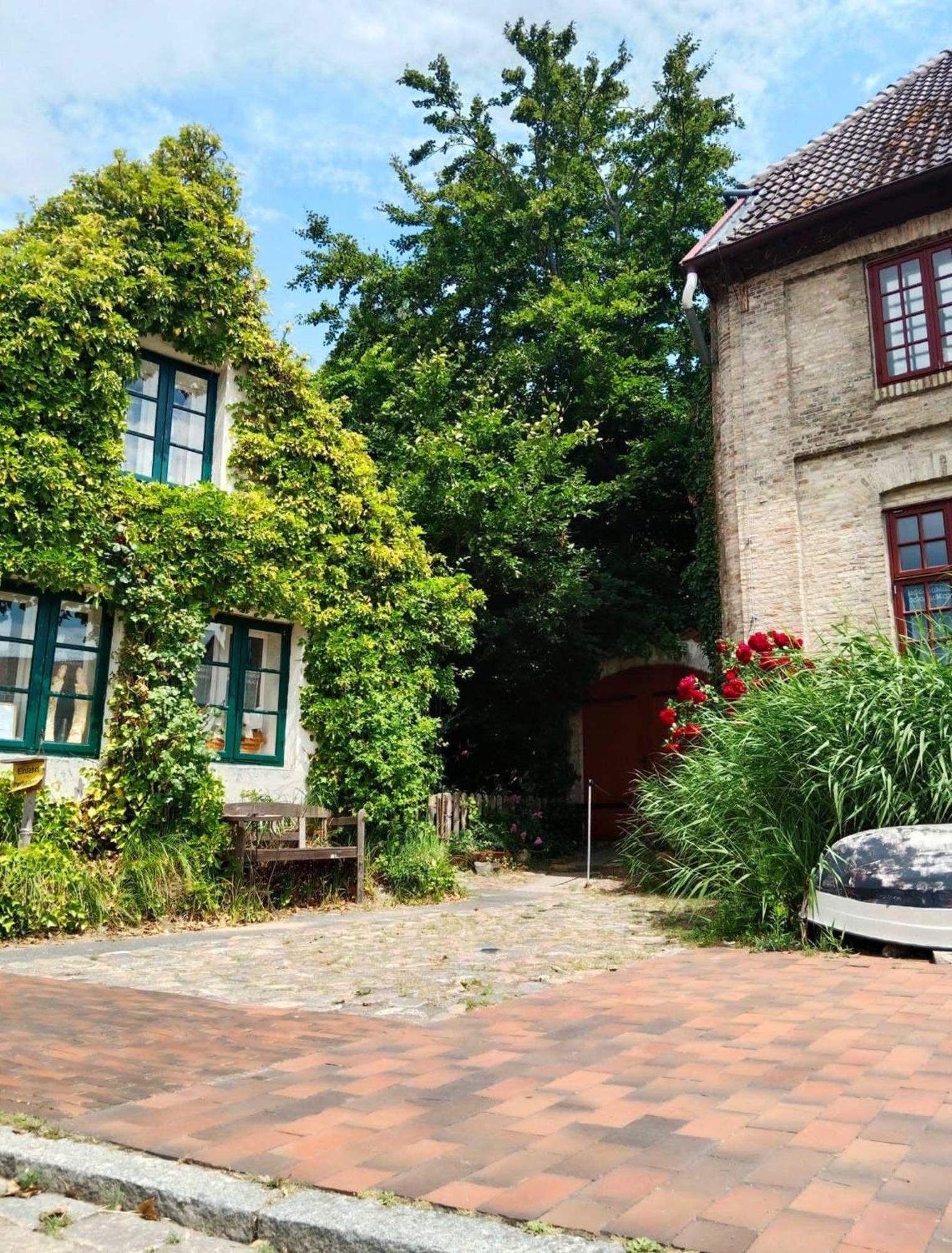 Fewoneustadt-02 Neustadt in Holstein Zewnętrze zdjęcie